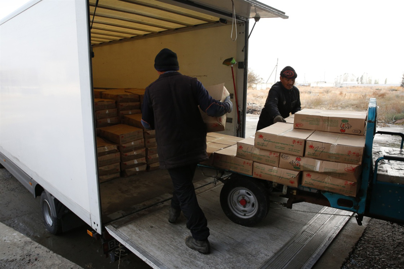 经过五年发展,中国河南贵友实业集团筹建的吉尔吉斯斯坦“亚洲之星”农业产业合作区因完善的基础设施、完整的产业链条,以及绿色生态的运营理念,成为当地农业产业合作的典范。2016年8月,中国商务部和财政部认定其为国家级境外经济贸易合作区。禽蛋制品是“亚洲之星”合作区目前的核心业务,在比什凯克几个大型农产品批发市场,“亚洲之星”的禽肉产品已占市场份额一半左右。“亚洲之星”已被吉方认定为第一家规模化养殖加工企业。2011年河南贵友开始投资开发位于吉尔吉斯斯坦北部楚河州伊斯克拉镇的废弃企业园,建立了“亚洲之星”农业产业合作区,发展种植、养殖、屠宰加工、食品深加工等产业,以产业一体化发展、为更多企业提供境外集群式发展平台为宗旨,分三期进行规划建设。目前已有8家中国企业入驻合作区,完成了畜禽养殖、屠宰、加工、销售等一期项目建设。下一步,合作区计划进一步完善和开发牛羊屠宰生产线、食品深加工生产线、印刷包装、冷链物流等,以吸引更多企业入驻。10月27日,“亚洲之星”农业产业合作区物流工作人员将包装好的肉鸡装车准备运往批发市场和超市。