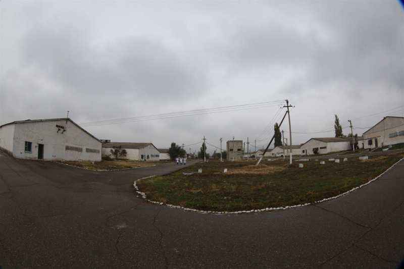 这是10月27日在“亚洲之星”农业产业合作区内拍摄的鸡舍区。